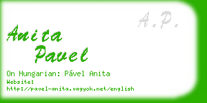 anita pavel business card